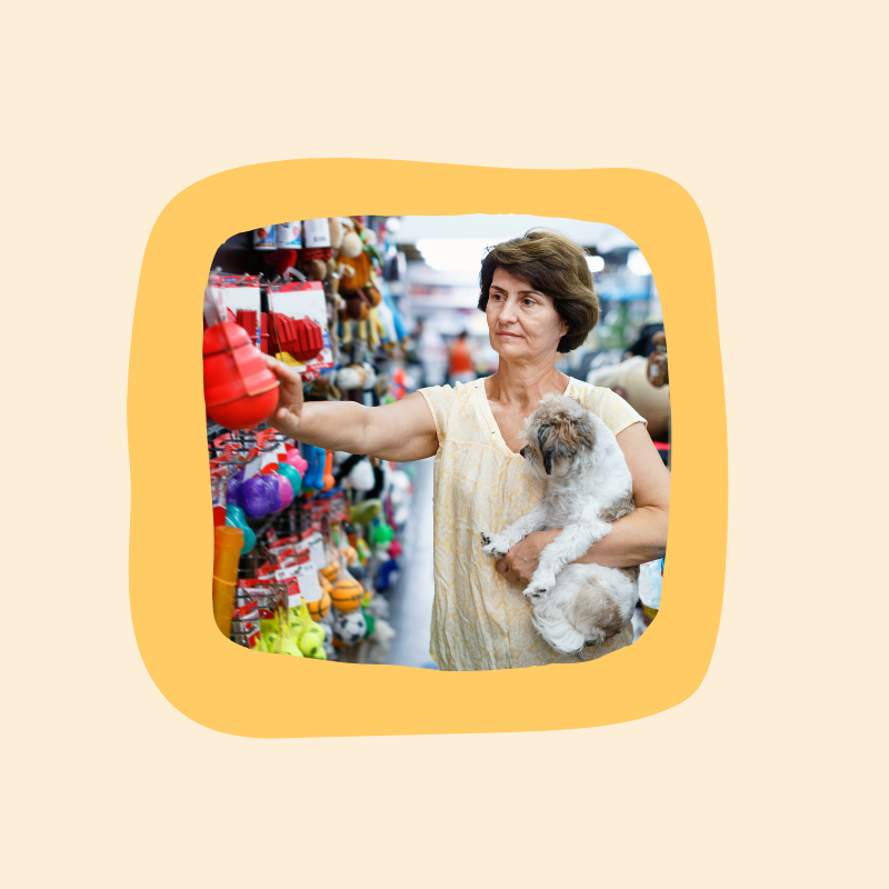 Pet Accessories